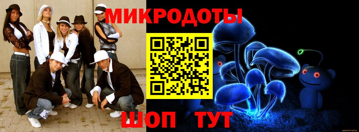 Галлюциногенные грибы Psilocybine cubensis Новоуральск